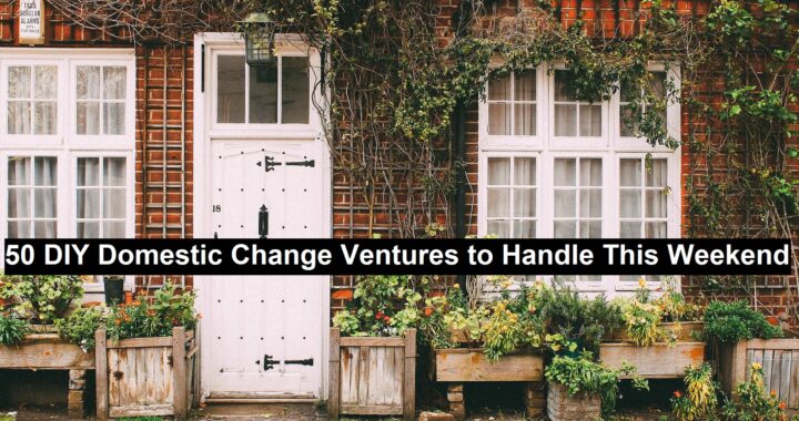 DIY Domestic Change