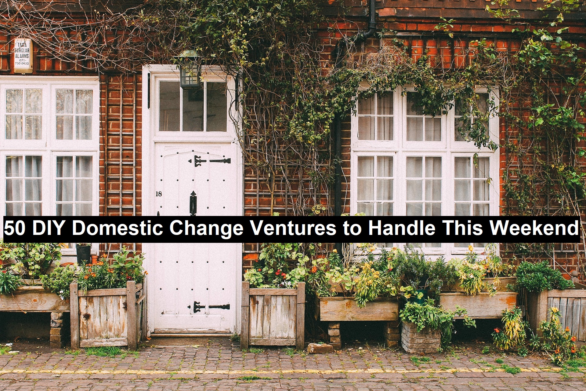 DIY Domestic Change