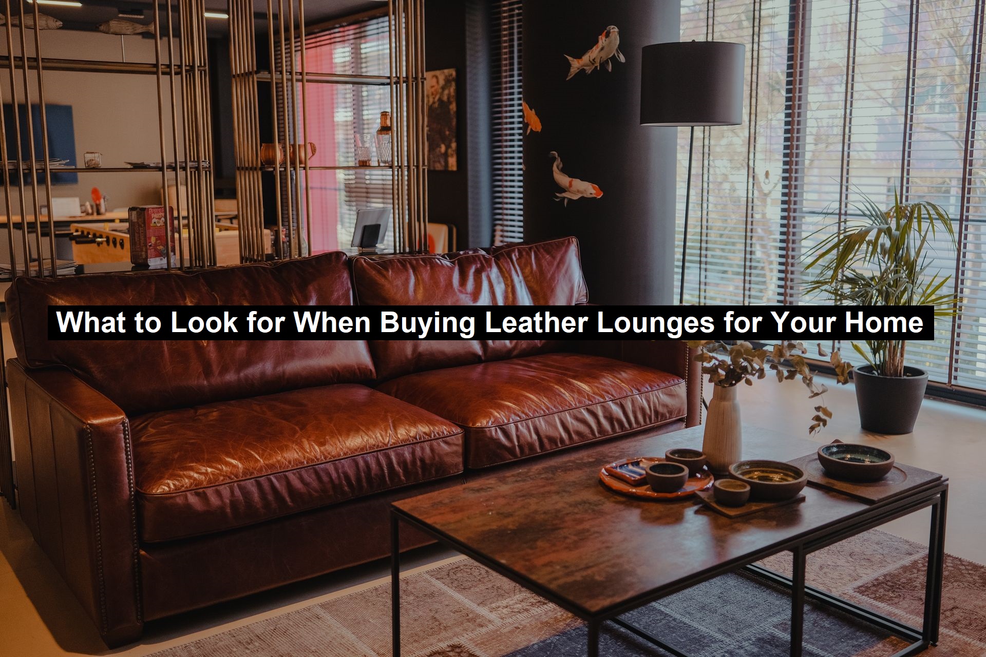 Leather Lounges for Your Home